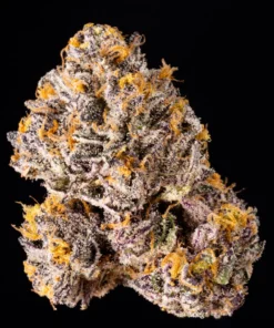 Wizard Trees The Keeper