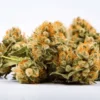 Venom OG Weed