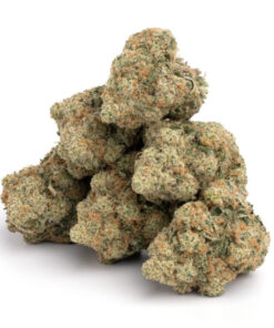 AK 47 Cannabis