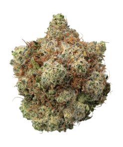 Bubble Gum Weed