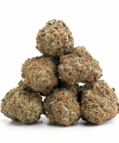 Cheese Weed