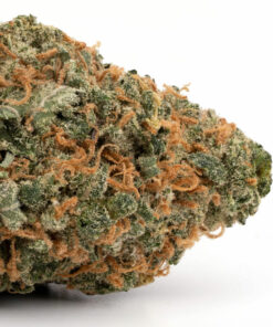 OG Headband weed