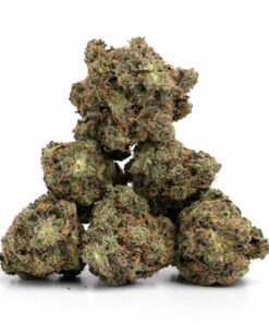Rocket Fuel Weed