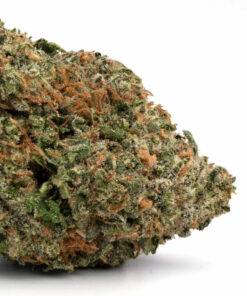 Great Glue Weed