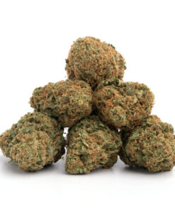 Devil's Lettuce Weed