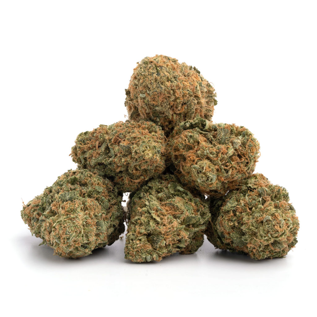 Devil's Lettuce Weed