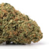 Devil's Lettuce Weed