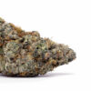 Purple Punch Weed