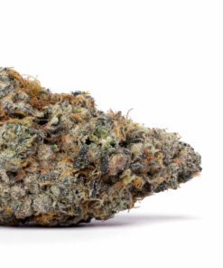 Purple Punch Weed
