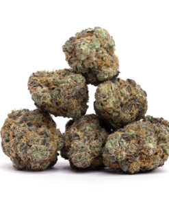 Purple Punch Weed