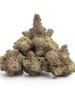 Runtz Weed