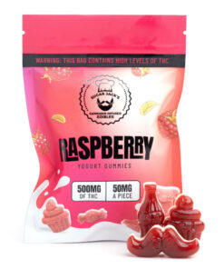 Sugar Jack's Raspberry Yogurt Gummies 500mg