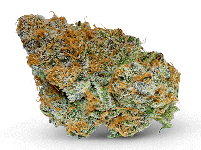 Jilly Bean Weed