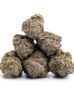 Tropical Runtz Weed