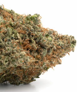 White Fire OG Weed