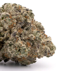 White Widow Strain