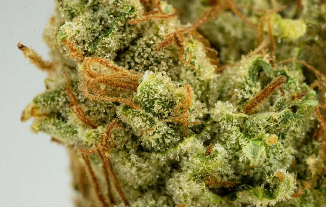 Dogwalker OG Weed