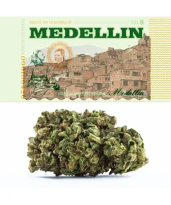 Medellin Weed