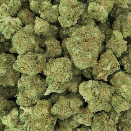 Cannabis Nederland