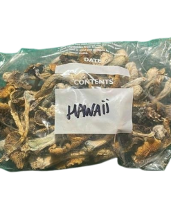 PES Hawaiian | Magic Mushroom