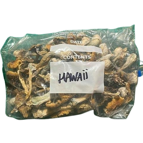 PES Hawaiian | Magic Mushroom